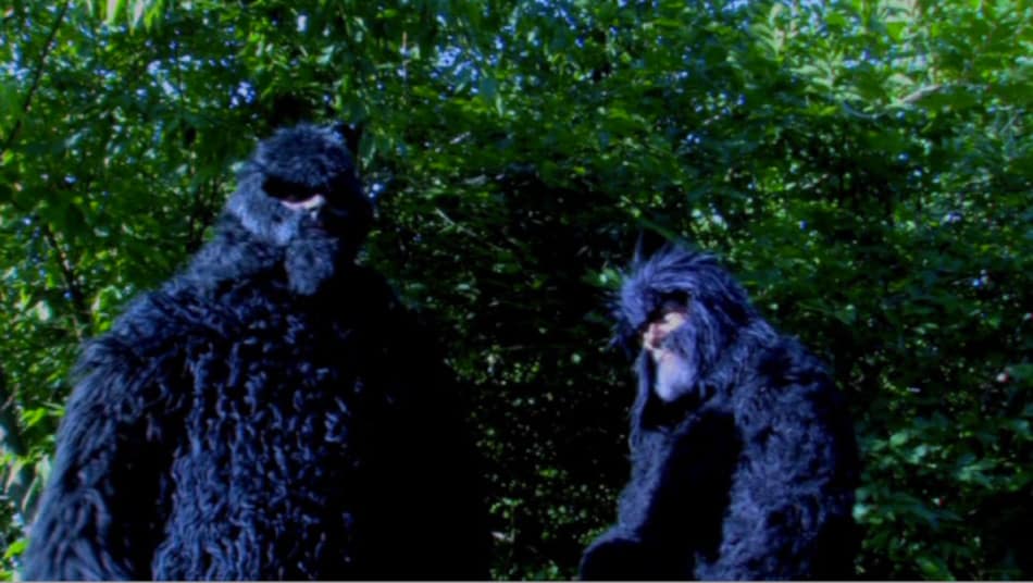 Two Bigfoots (sic) -- or is it a pair of Bigfeet -- mull about in the woods pulling pranks on rednecks in the first segment of "Bigfoot!" (Screen capture from DVD by reviewer Ben Nagy).
