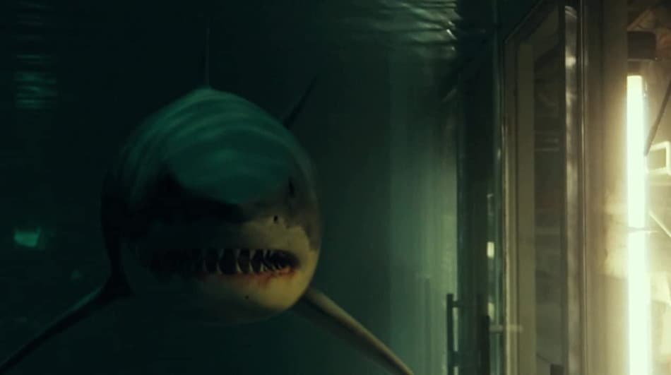 Ben Nagy Reviews 'Bait': It Takes a Lot of Planning to Have Sharks Attack a Grocery Store 4