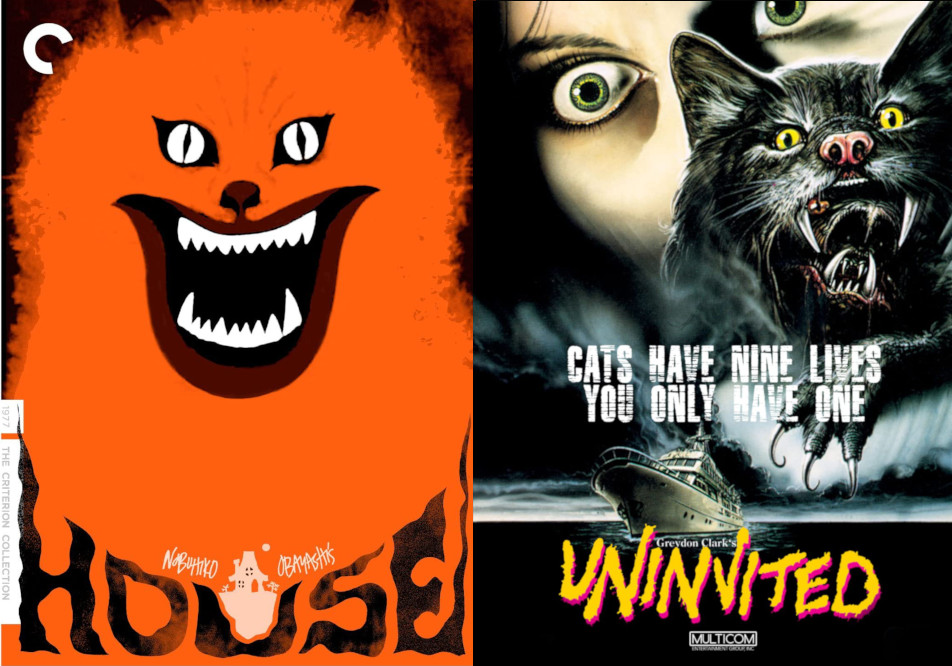 Ben Nagy reviews 'House' and 'Uninvited': A shameless attempt to get along with the cat people in the new year 10